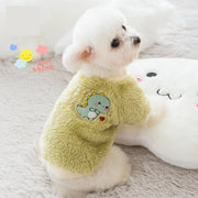 Teddy bear style dog outfit for winter
