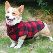 Stylish winter outfit for dogs