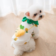 Dog in colorful cartoon outfit