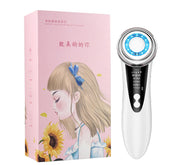 "Negative ion LED beauty instrument"