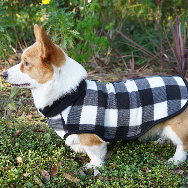 Dog wearing fleece winter coat