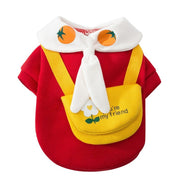 Dog in colorful cartoon outfit