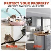 "Protect your home from rodents poster"