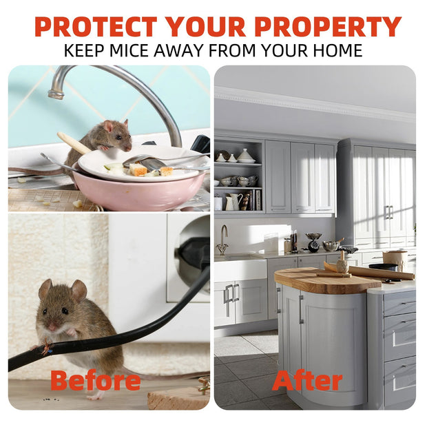 "Protect your home from rodents poster"