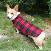 Small dog winter coat
